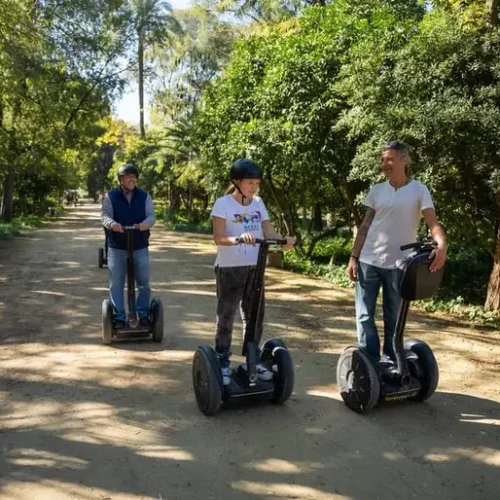 Segway 2H Private